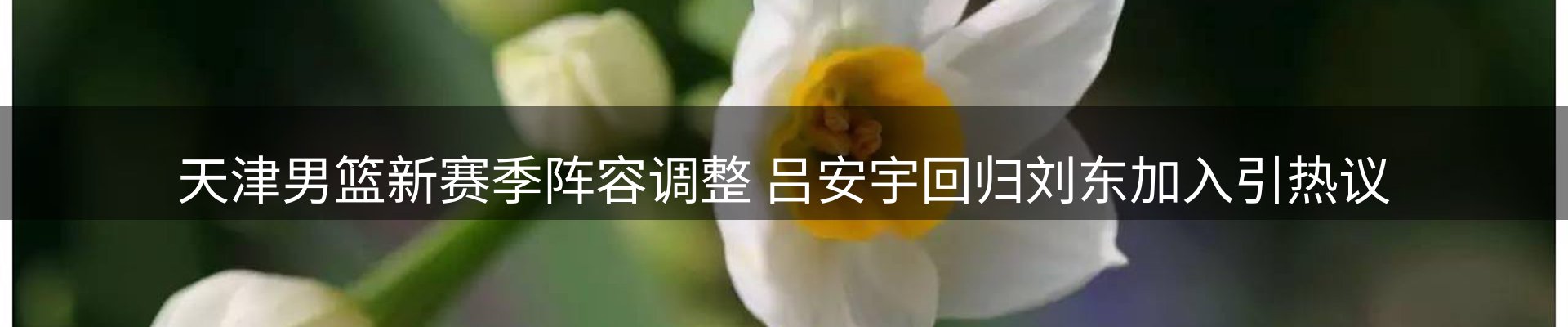 品牌资讯