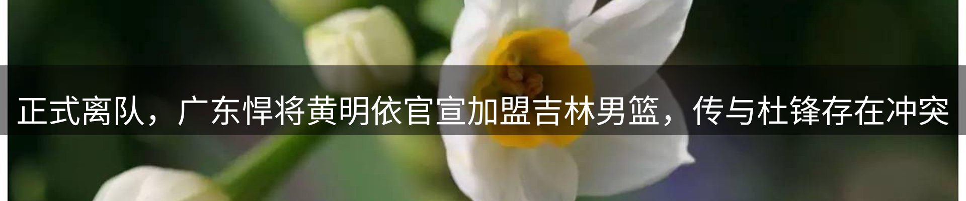 资讯要点