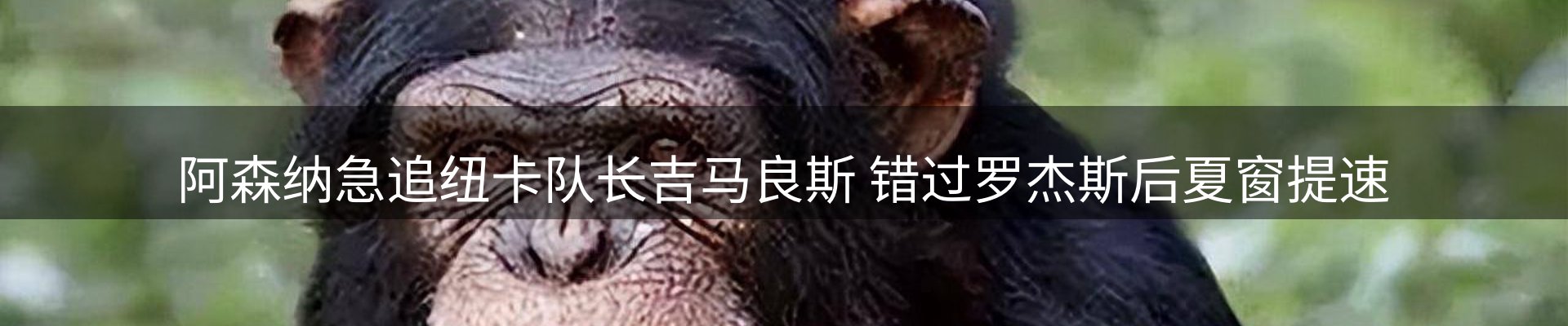 品牌资讯