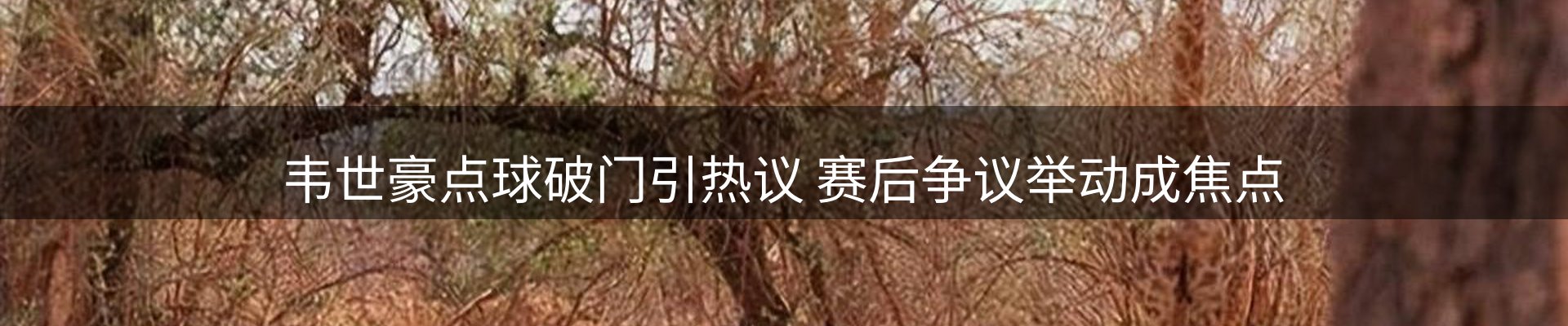 品牌资讯