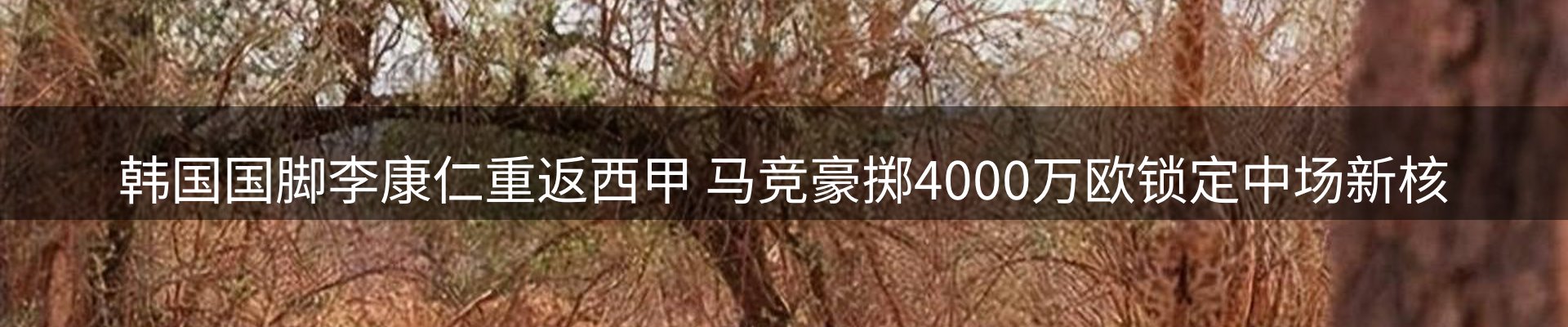 品牌资讯